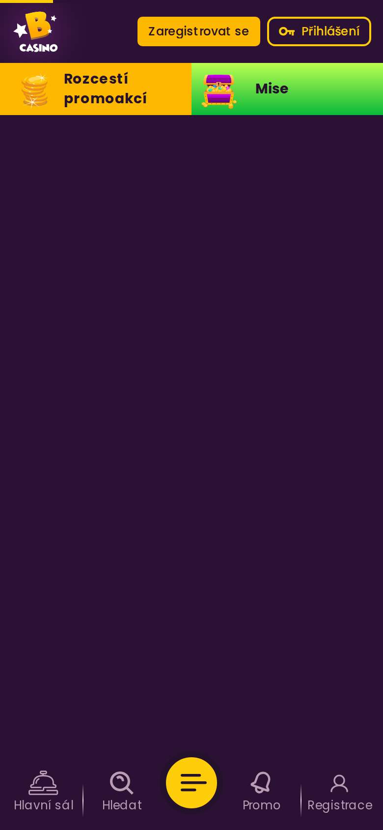 Bizzo — registrace